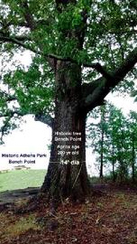 historic athens park