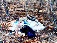 garbage,environment, lake Lanier, shore sweep, adopt a shoreline, glass, plastic, clean up, Georgia, pollution, green, air, mother earth,