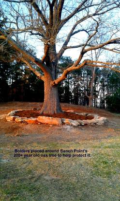 Bench Point, Athens Park, Lake Lanier