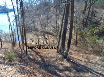 George Ferris of adopt a shore line, lake lanier, enviornment, shore sweep
