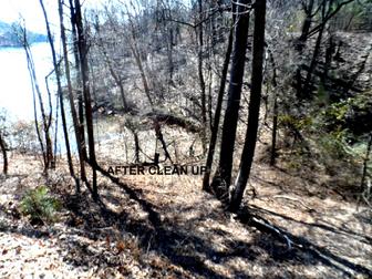 George Ferris of adopt a shore line, lake lanier, enviornment, shore sweep