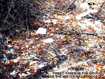 George Ferris of adopt a shore line, lake lanier, enviornment, shore sweep