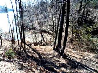 George Ferris of adopt a shore line, lake lanier, enviornment, shore sweep