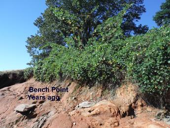 Bench Point, Athens Park, Lake Lanier