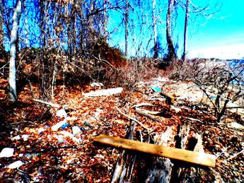George Ferris of adopt a shore line, lake lanier, enviornment, shore sweep