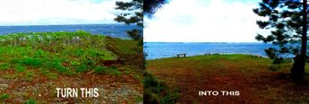 Bench Point, Athens Park, Lake Lanier
